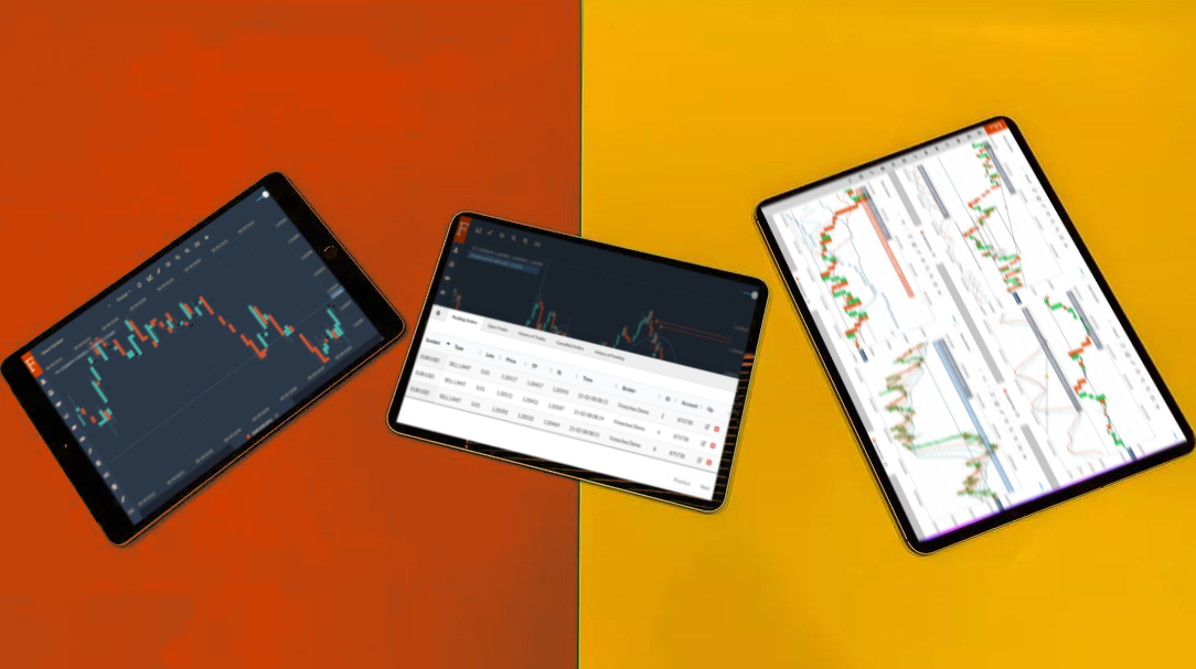 Fintechee provides Forex brokers with White Label which authorizes brokers to use Fintechee's WEB Trader